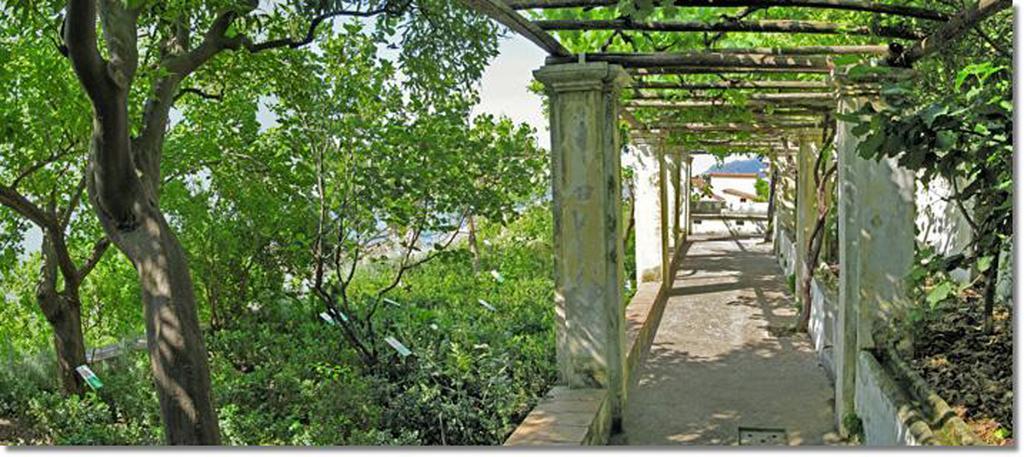 Sichelgaita Apartment Salerno Dış mekan fotoğraf